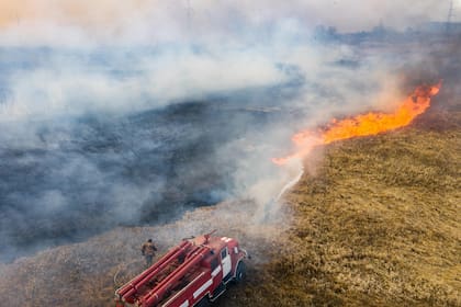 Alarma radioactiva en Ucrania: bomberos luchan contra varios incendios en Chernobyl