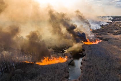 Alarma radioactiva en Ucrania: bomberos luchan contra varios incendios en Chernobyl