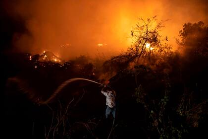 En los primeros 21 días de setiembre hubo 5900 incendios en el Pantanal