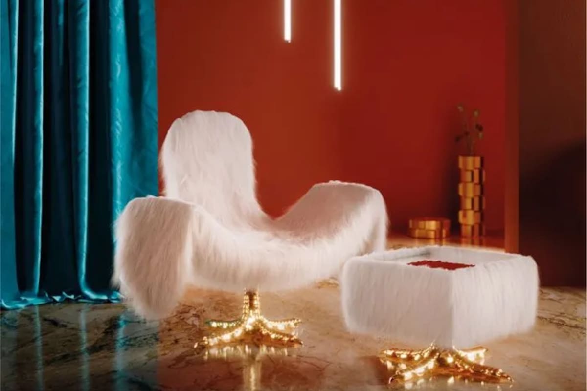 Alas y garras doradas en Cocky, un ave en el living