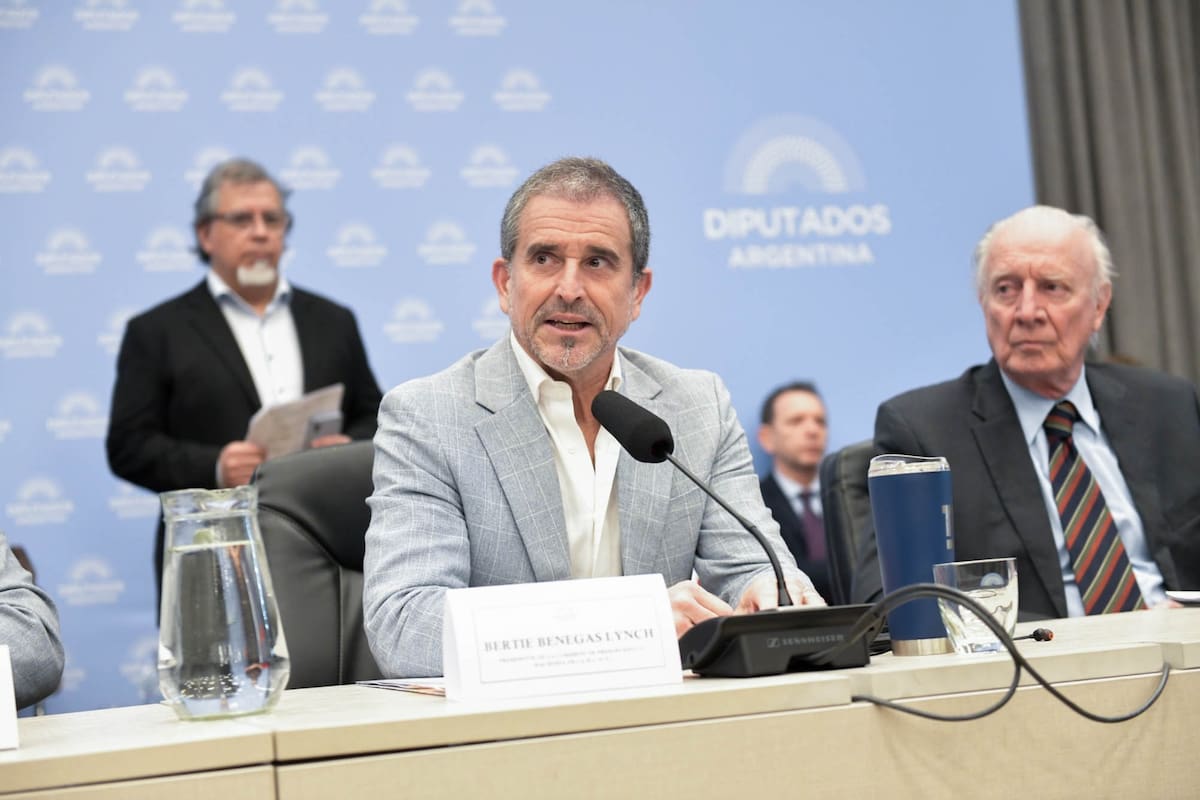 Alberto "Bertie" Benegas Lynch