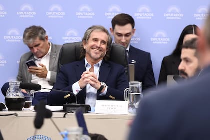 Alberto "Bertie" Benegas Lynch preside la Comisión de Presupuesto