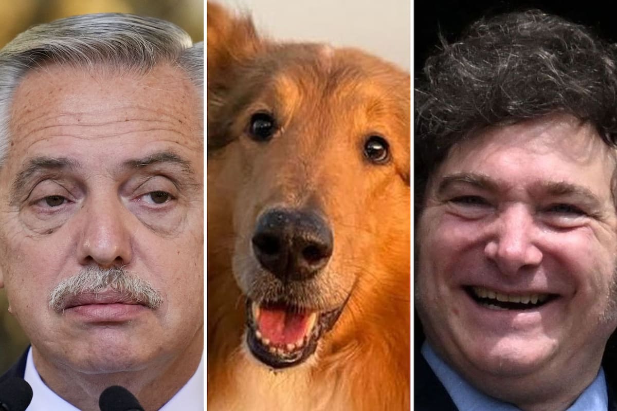 Alberto Fernández, Dylan y Javier Milei