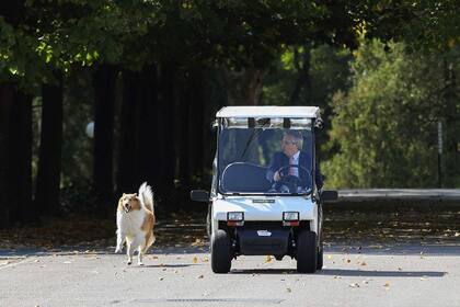 Fernández recorre a quinta presidencial con su perro Dylan
