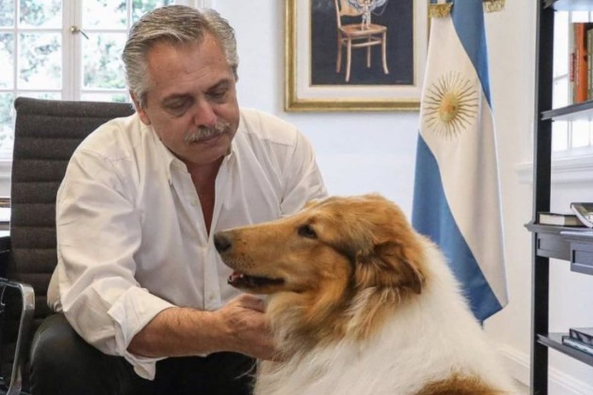 Alberto Fernández junto a Dylan
