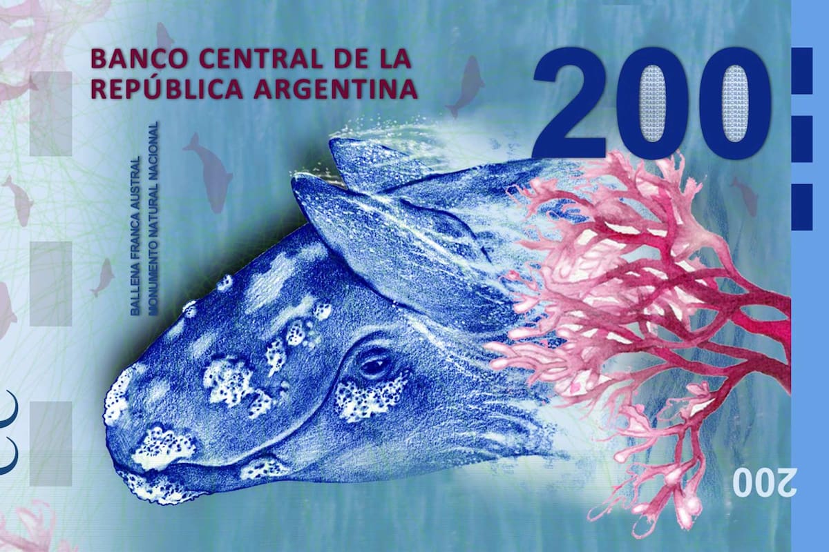 Alberto Fernández quiere reemplazar a los animales de los billetes