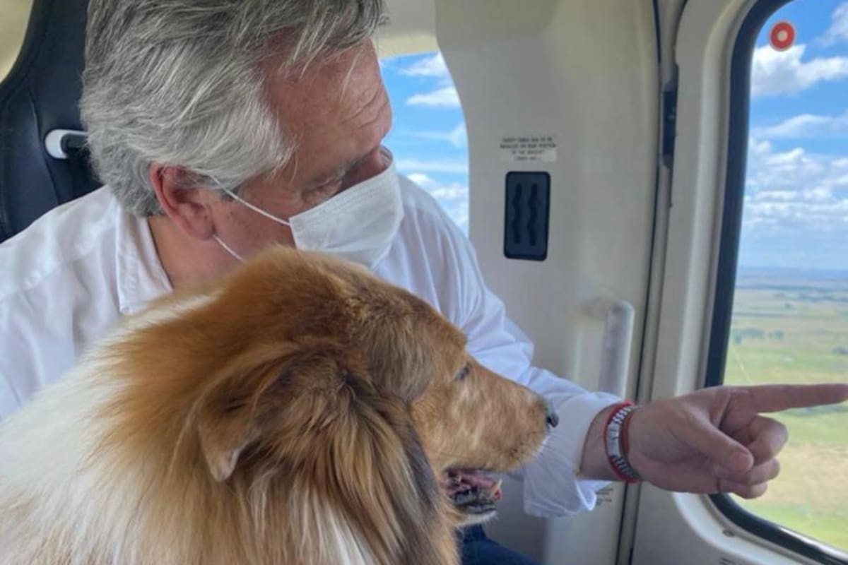 Alberto Fernández y Dylan, su perro, camino en helicóptero a la residencia de Chapadmalal