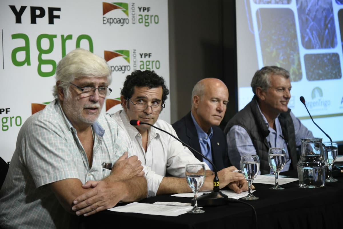Alberto Morelli (Maizar), Juan Salas (Asagir), Luis Zubizarreta (Acsoja) y Miguel Cané (Argentrigo)