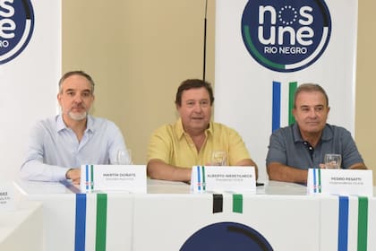 Alberto Weretilneck, con el senador camporista Martín Doñate y el intendente de Viedma, Pedro Pesatti
