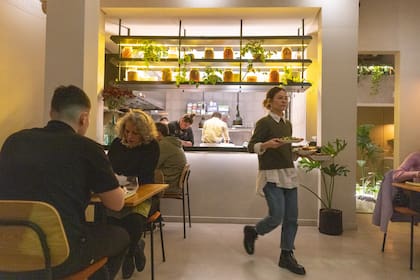 El íntimo salón de Alcanfor.