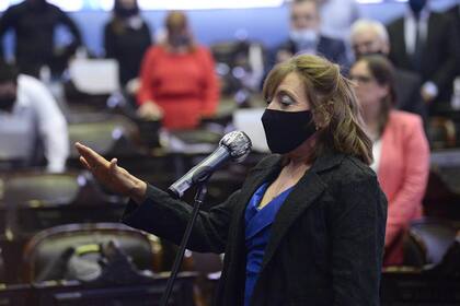 Alcira Figueroa realizó su jura como Diputada Nacional en reemplazo de Juan Ameri