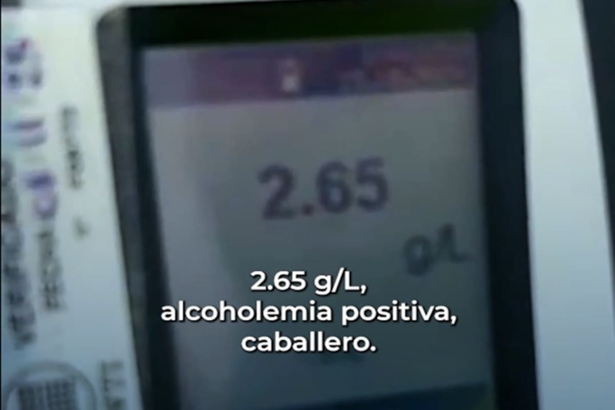 Alcoholemia positiva en la Panamericana