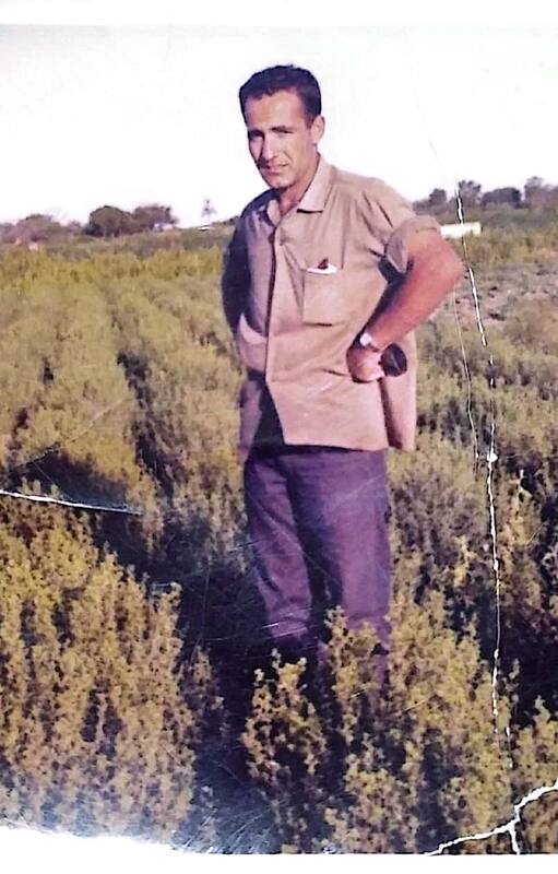 Aldo Donnantuoni en una imagen que tiene 50 años, en una de sus plantaciones de orégano