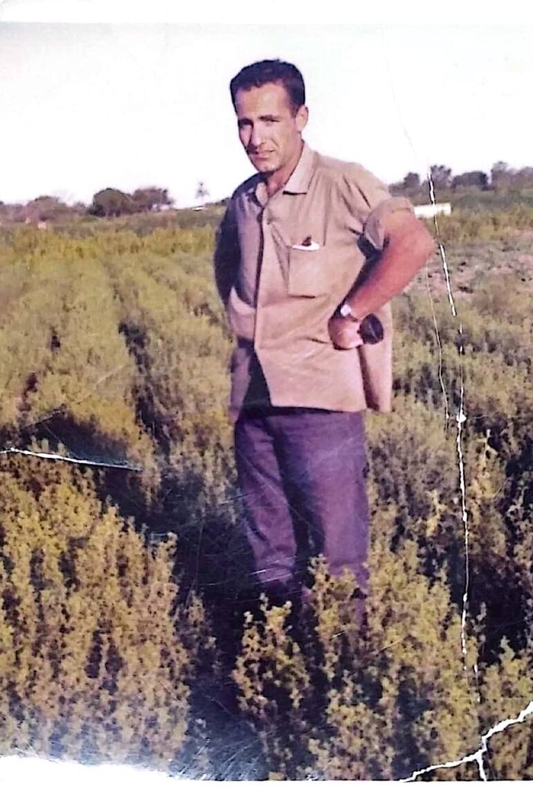 Aldo Donnantuoni en una imagen que tiene 50 años, en una de sus plantaciones de orégano