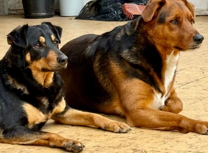 Aldo y Luna.