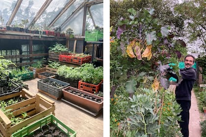 Ale en su casa en Ezeiza, donde las plantas son lo que elige cada día. Hoy planifican mudarse a San Miguel del Monte, para seguir creciendo y proyectando juntos. Asistirán al Encuentro de Agricultura Biodinámica en Mendoza para celebrar los 100 años de la Biodinámica con sus colegas.