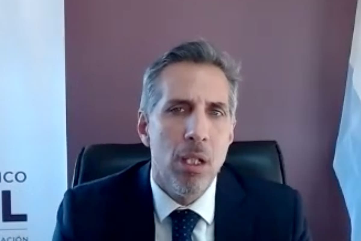 Alegatos por la causa Vialidad. Diego Luciani