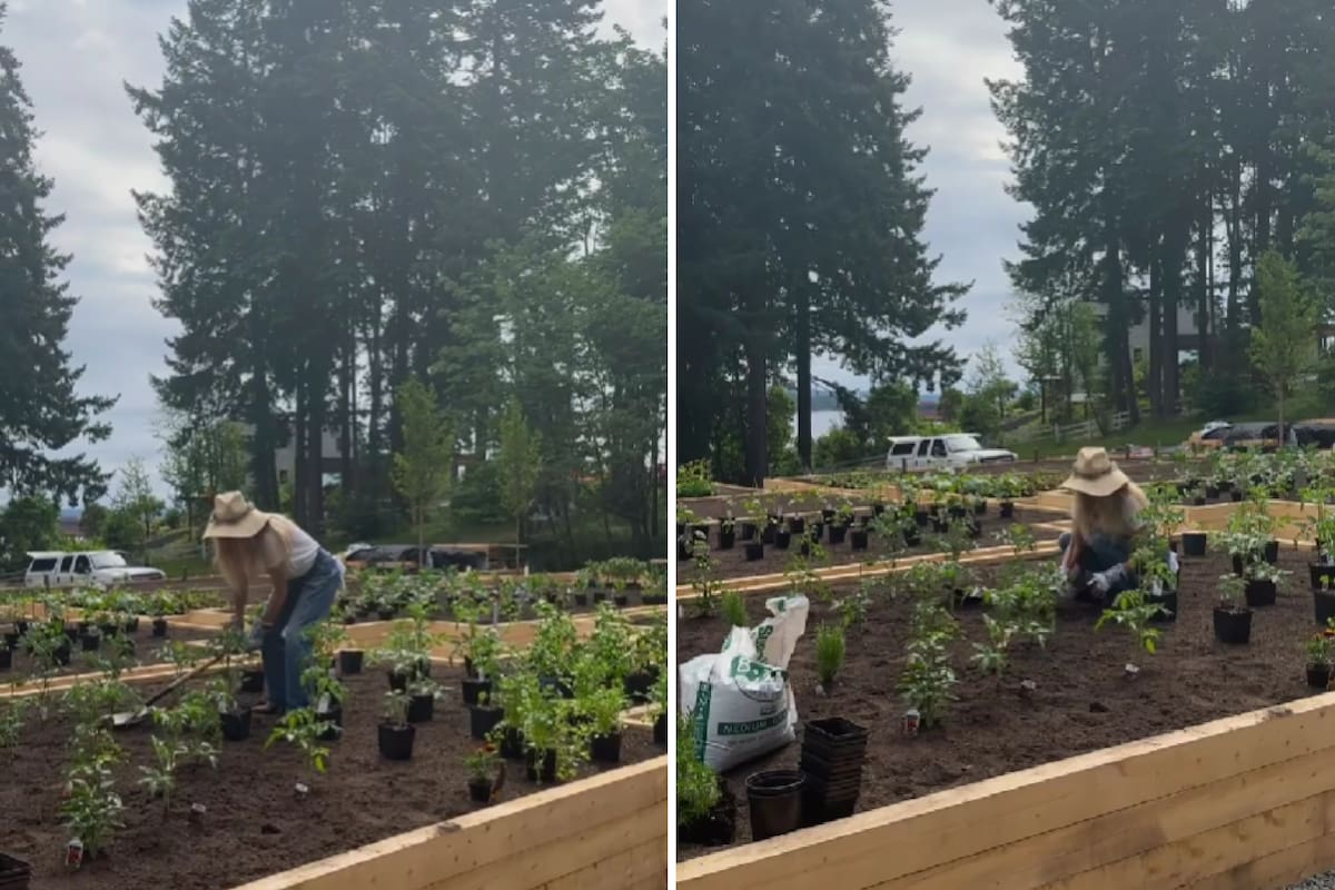 Alejada de los flashees, la actriz hollywoodense trabaja en su propia huerta en su nueva vida en el campo