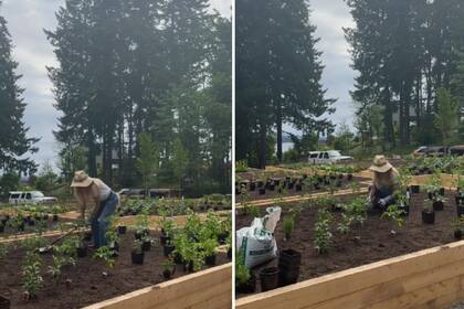 Alejada de los flashees, la actriz hollywoodense trabaja en su propia huerta en su nueva vida en el campo