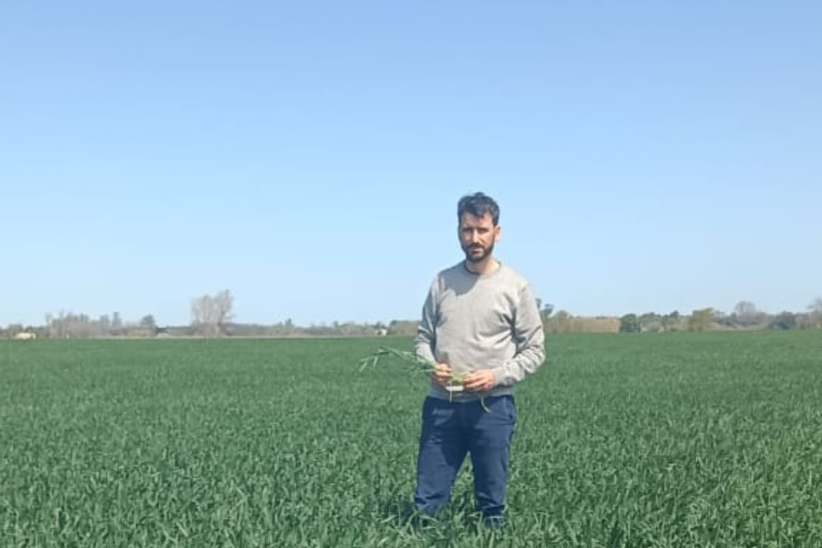 Alejandro Acerbo, productor agropecuario y asesor de la zona de Junín