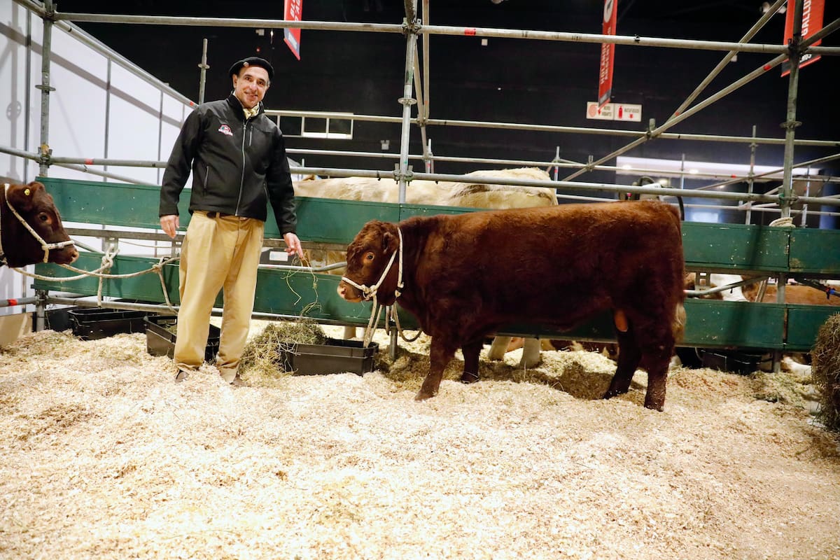 Alejandro Allende, ganadero y criador de caballos criollos, fue uno de los impulsores del regreso de la raza Devon a la Argentina
