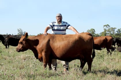 Alejandro Aznar, a pleno con la producción ganadera