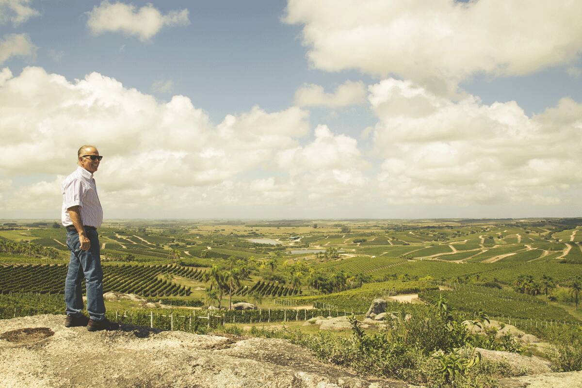 Alejandro Bulgheroni, en Bodega Garzón