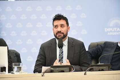 Alejandro Cacace, secretario de Desregulación, defendió el tratado en Diputados