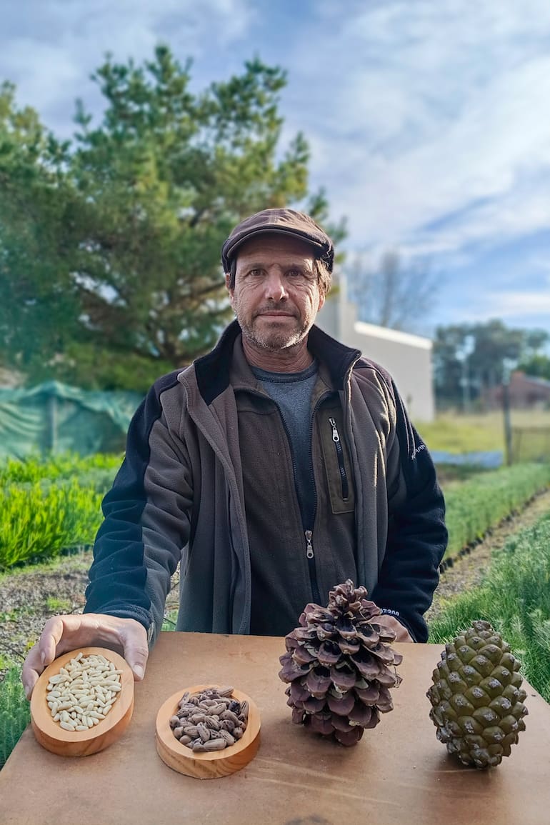 Alejandro Camporini muestra las etapas: de la piña al piñón