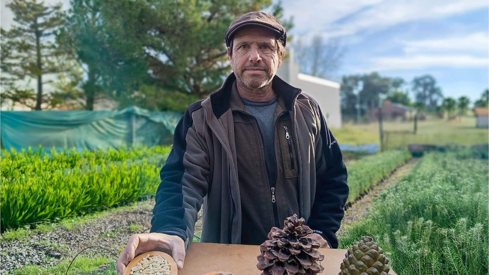 Alejandro Camporini muestra las etapas: de la piña al piñón