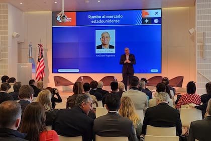 Alejandro Diaz, Director Ejecutivo y CEO de AmCham Argentina