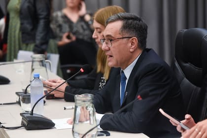 Alejandro Finocchiaro, el presidente de la comisión de Educación de la Cámara de Diputados