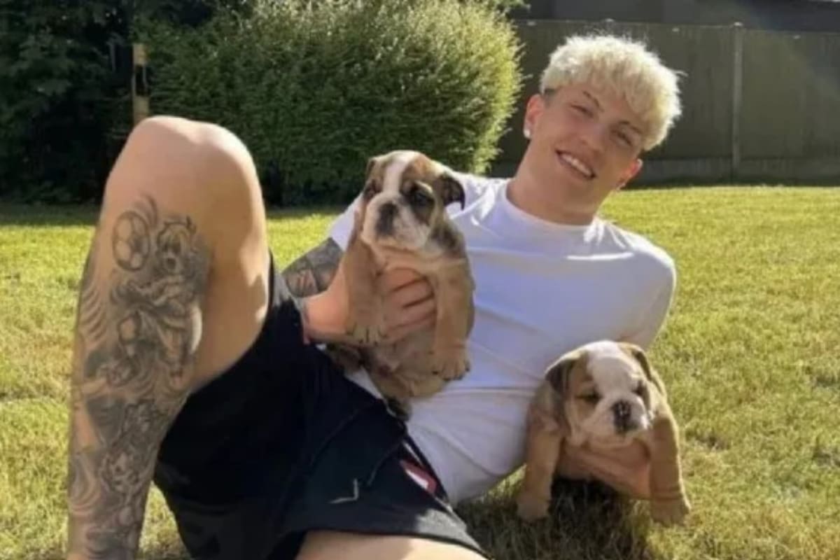 Alejandro Garnacho perdió a sus dos perros y una fanática del Manchester United los encontró en la vía pública