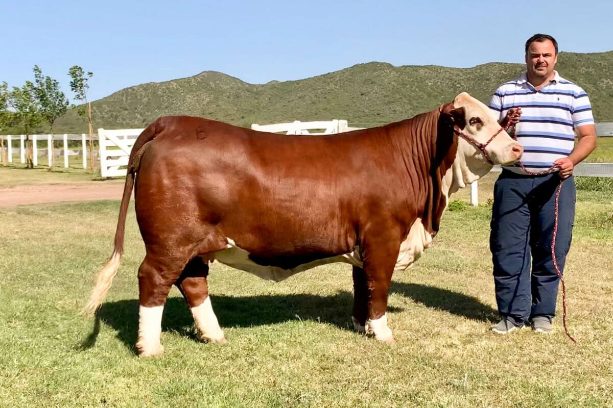 Alejandro Lauret en su cabaña La Dominga con Ana Victoria, el ejemplar ganador