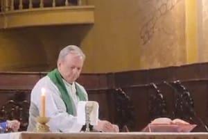 El cura apartado por denuncias de abuso sexual en un jardín reapareció dando misa en la Catedral