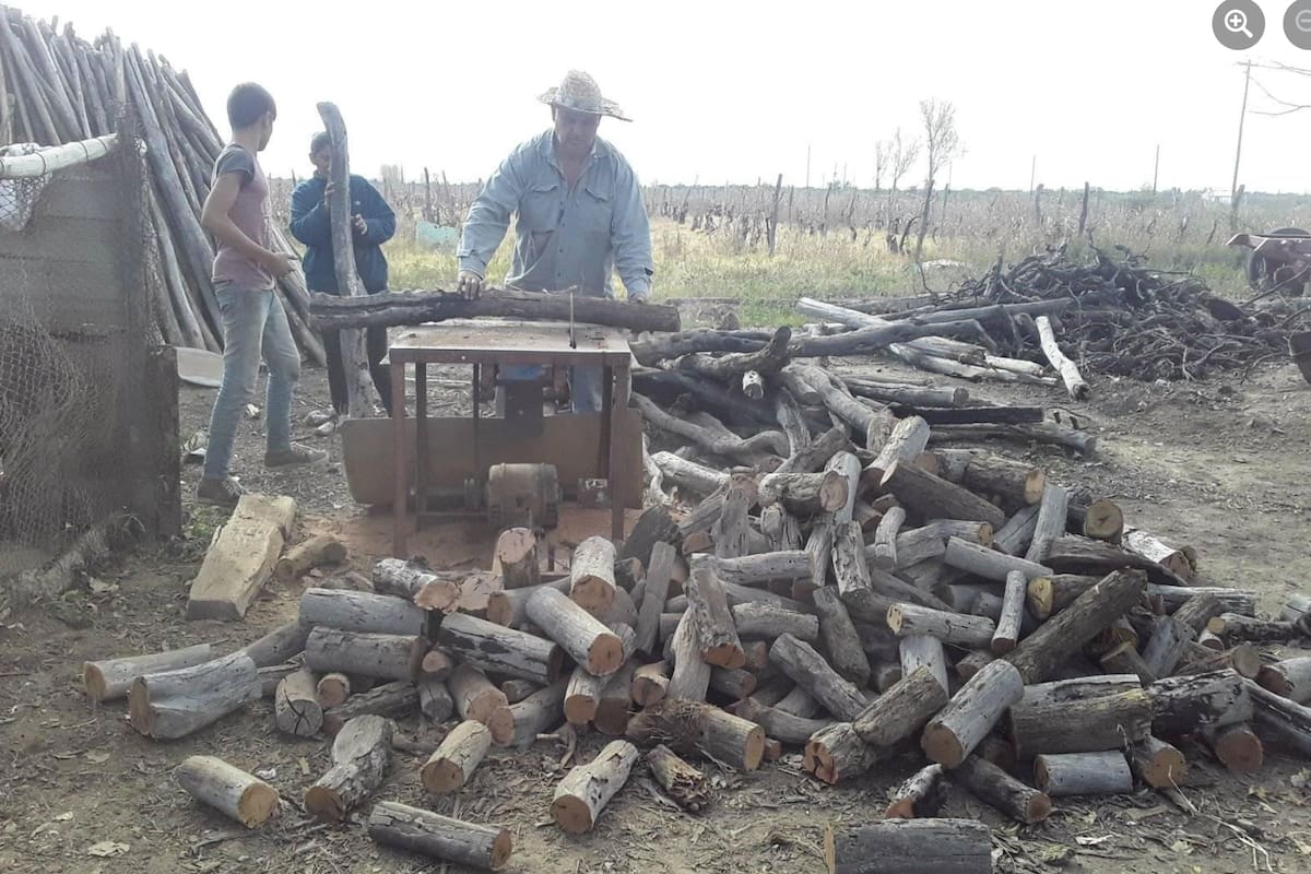 Alejandro Palazzo cortó los viñedos de su finca e hizo leña para vender. También se desprendió de su tractor para comprarse un pasaje para radicarse en Italia