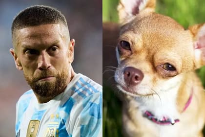 Alejandro "Papu" Gómez fue comparado con un perro Chihuahua