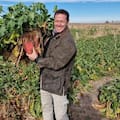 El boom de la remolacha forrajera que rompe todos los moldes para “fabricar” carne