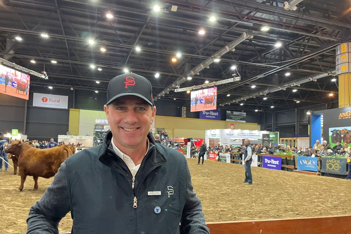 Alejandro Salemme, de la cabaña Moromar en la Exposición Angus del Centenario