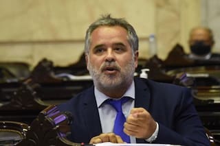 Biocombustibles: la crítica y el lamento de un diputado de Lavagna