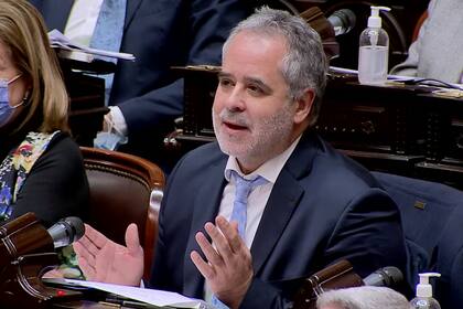 Alejandro "Topo" Rodríguez durante la sesión especial de la Cámara de Diputados