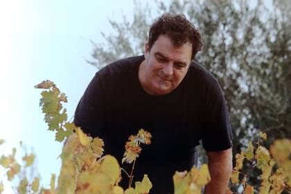 Alejandro Vigil en el viñedo
