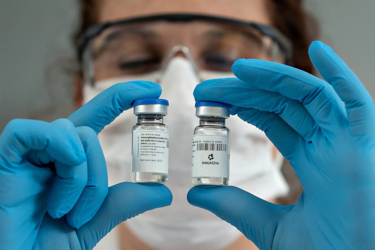 Alentadores resultados preliminares de un suero anti-Covid desarrollado por científicos argentinos