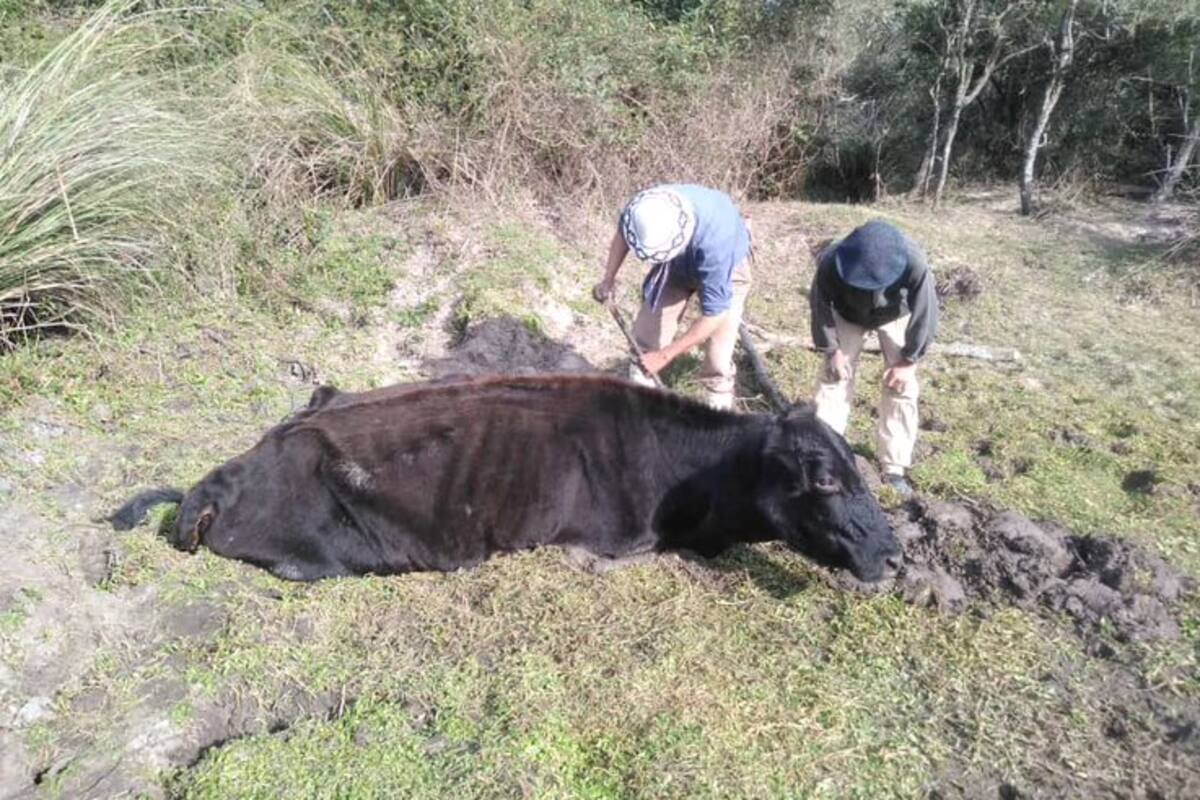 Alerta por una situación crítica en el norte de Santa Fe. Gentileza