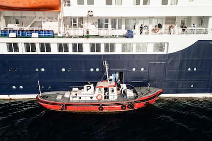 Alerta sanitaria: Suiza confirma un nuevo caso de hantavirus procedente del crucero