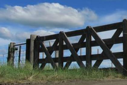 Alertan por un freno en las ventas de campos tras la devaluación