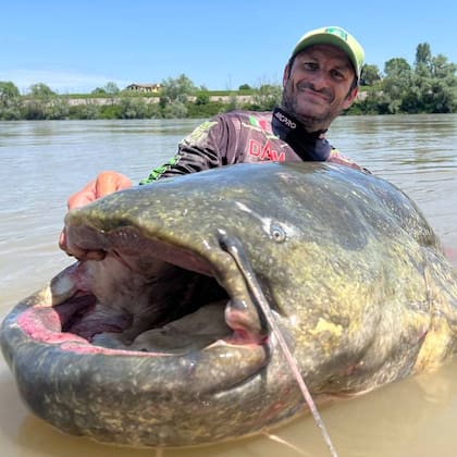 Alessandro Biancardi exhibe la presa que le llevó 23 años y 40 minutos atrapar: el bagre gigante del río Po