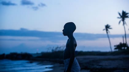 Alex Hibbert como Chiron