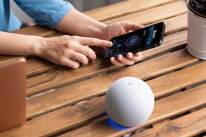 Alexa se convirtió en uno de los dispositivos preferidos de los miembros de una casa por las distintas actividades que puede realizar