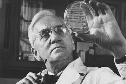 Alexander Fleming, el hombre que pasó a la historia, aunque no patentó la penicilina